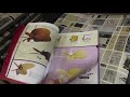 2006 Fanimation Ceiling Fan Catalog At Fanimation