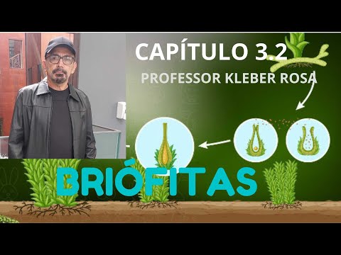 CICLO REPRODUTIVO DOS MUSGOS