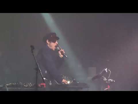 Automelodi  (Live Cold Hearted Festival 2025)