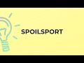 What is the meaning of the word SPOILSPORT?