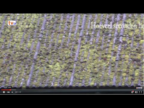 RAAD VIDEO Lemelerveld [12] - Slootjes?