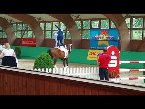 CVI Krumke 2018 Team NORKA Gruppenkür | TjacobsFan17