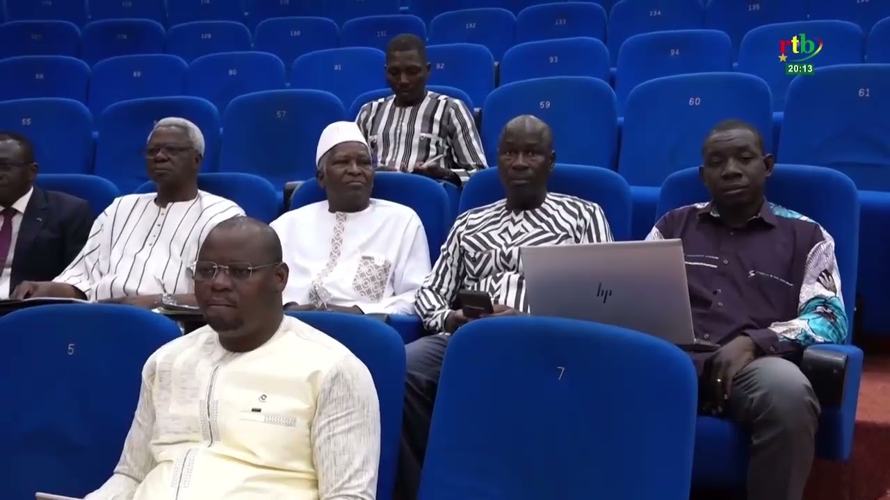 Adoption du projet de loi organique portant organisation, fonctionnement du Conseil constitutionnel