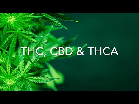 thc zsírégetést)