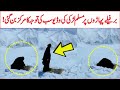 Muslim Girl Perform Namaz At Mountain In Snow Falling Viral Video AR Videos