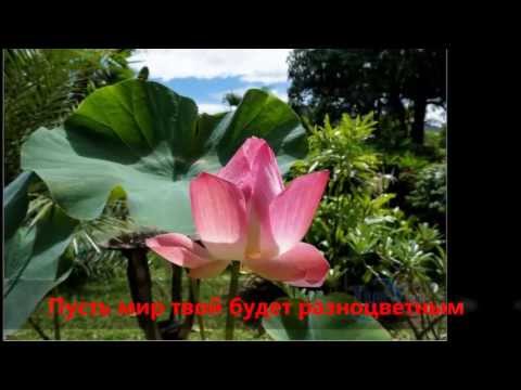 С днём рождения, SEAntia (Москва-Самуи)!!!