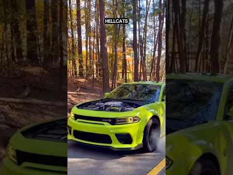 Differences Between Dodge Challenger Hellcat And Dodge Charger Hellcat. #dodge #mopar #srt #hemi