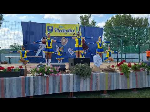 Plechotice : 700 -sté výročie založenia obce