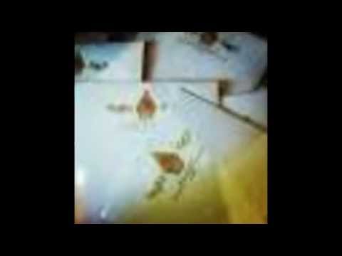 Nagita Slavina_ Lewati Proses Pingitan