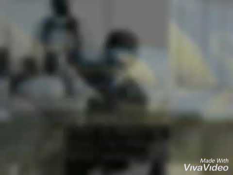 Envidia, Julian M. 2019 ...