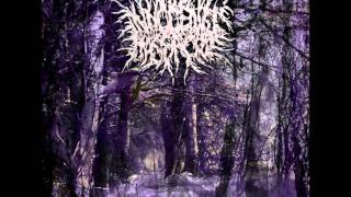 Innocents Massacre-Auguries Of Innoncence