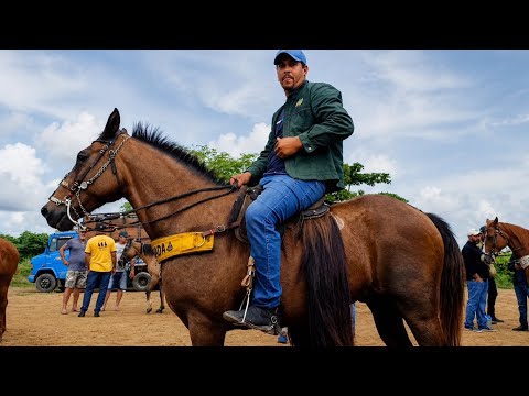 Feira de cavalo e gado em ALTINHO PERNAMBUCO 