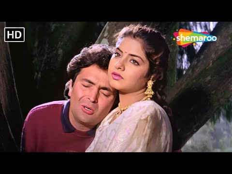 तेरी उम्मीद तेरा इंतजार करते है | Teri Umeed Tera Intezar | Deewana(1992) | Rishi Kumar,Divya Bharti