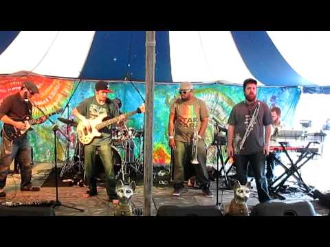 The Twin Cats (w/ Terrence Massey) - August 18, 2012 - Bonefish Groove - Hoxeyville Music Festival