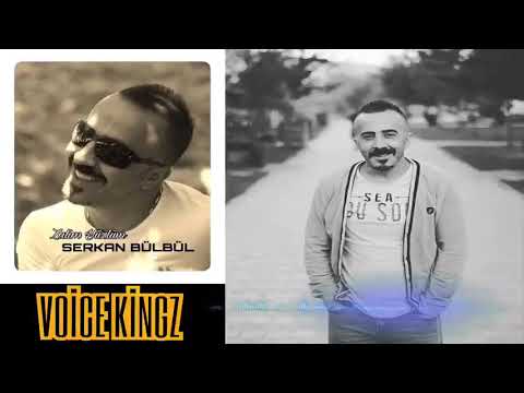 Zalim Firari - VoiceKingz (Serkan Bülbül)