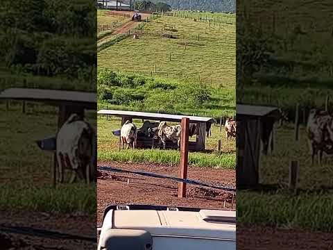 obra do britador Oeste na divisa de Santa Catarina com a Argentina