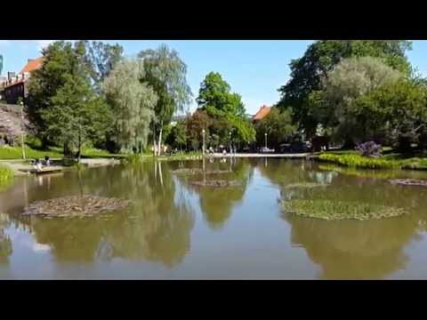 Näckrosdammen Göteborg