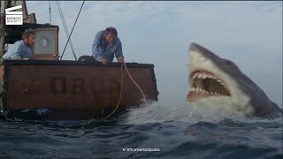 Jaws: Shark with barrels HD CLIP