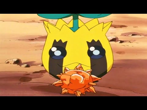 Sunkern evolves into Sunflora