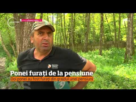 Hoţii au dat lovitura într-o pensiune din Argeş!