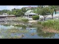 Mount Dora Residents Say Trash Filled Canal Threatens Lake Dora