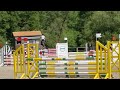 Merrie Selle Français Te koop 2019 Schimmel ,  CASALL