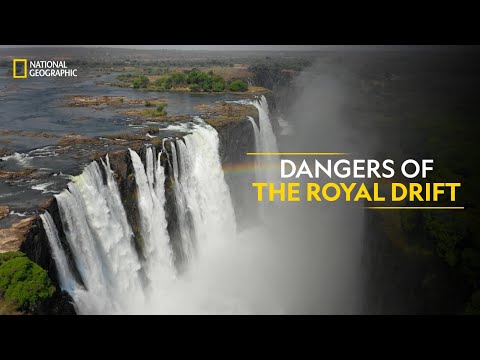Dangers of the Royal Drift | Something Bit Me | Full Episode | S1-E5 | National Geographic