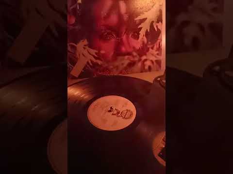 SANDY BARBER - I Think I'll Do Some Steppin' On My Own (1978)