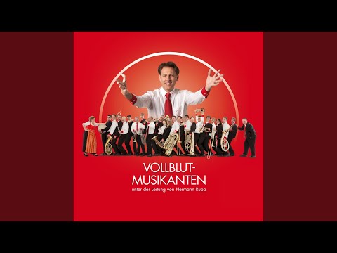 download lagu mp3 mp4 Der Rumtreiber, download lagu Der Rumtreiber gratis, unduh video klip Der Rumtreiber