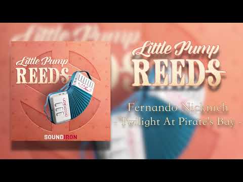 Little Pump Reeds | Fernando Nicknich - Twilight At Pirate's Bay