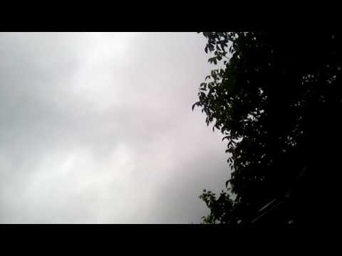 Potop la hamcearca!!!