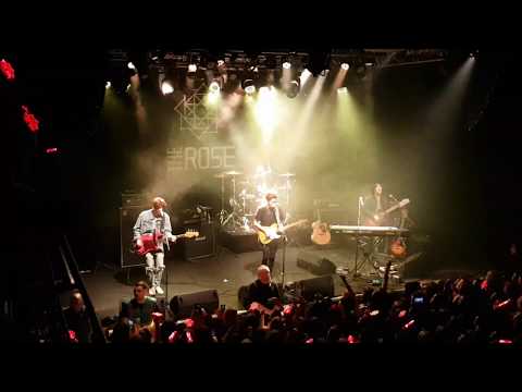 181130 The Rose (더 로즈) Yellow (Coldplay cover) - Paint It Rose in Stockholm