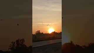 แสงสวยๆบนผืนนาหลังโรงเรียนคือรางวัลของการมาทำงานเช้าๆ