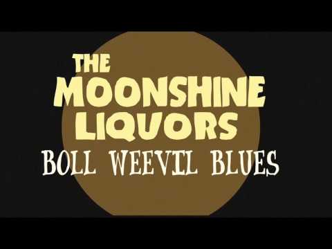 Boll Weevil Blues-Max Forestieri and the MoonShine Liquors- recording with 1938 microphone -