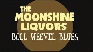 Boll Weevil Blues-Max Forestieri and the MoonShine Liquors- recording with 1938 microphone -