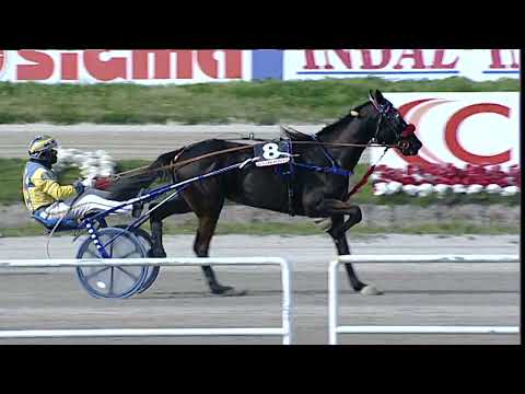 Napoli Trotto 19/03/2023 - 2ª corsa