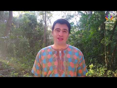 Mestre Irineu: A Black Man Who Changed the History of Ayahuasca | Chacruna Chronicles