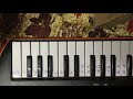 Birthday Song On Casio SA 76 Keyboard