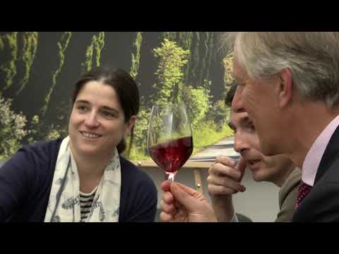 Vinitaly 2019 intervista a Priscilla Incisa della Rocchetta Tenuta San Guido