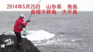 preview picture of video '2014年05月25日　山形県　飛島　烏帽子群島　大平'