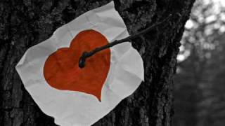 Temporal-Pitty (Official)