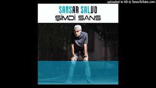 Sansar Salvo - 404