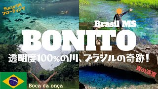 地球上で最も美しい水の楽園、ブラジル ボニートに行ってきました！Bonito Brasil
