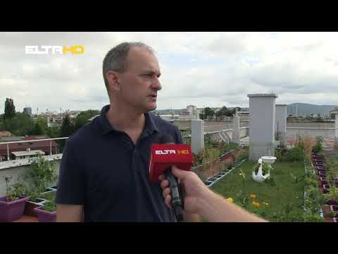 BL HRONIKA 30 07 19 - KROVNI VRT OBILICEVO