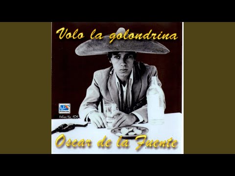 Volo la Golondrina