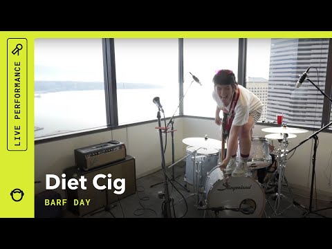 Diet Cig - Barf Day (Napster Live from The Green Room)