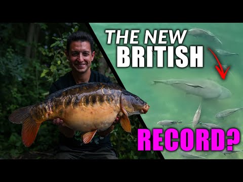 THE NEW BRITISH RECORD CARP? Behind The Scenes at RH Fisheries