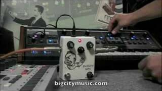 Video thumbnail for Dirty Boy BUZZY BOY & Moog Little Phatty by bigcitymusic