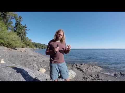 The Evolution of Menopause: Insights From Killer Whales