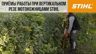 Кусторез электрический STIHL HSE 71 - видео №1